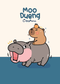 little Hippo cute moo dueng & capybara!
