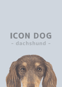 ICON DOG - dachshund - PASTEL BL/10