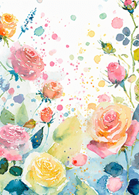 Beautiful rose flower(R4158)