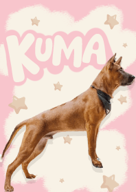Kuma TL