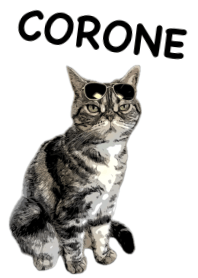 CORONEchan