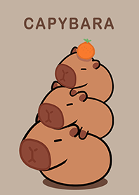 misty cat-Capybara4