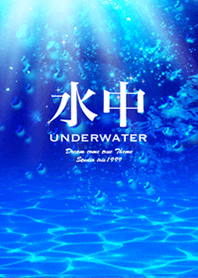 Underwater Dolphin2