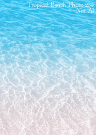 Tropical Beach Photo 264 Not AI