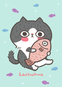 拉查花 - 拉拉葛格