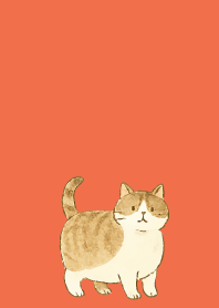 Cats are soothing05 red & yellow