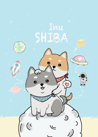 Shiba 4