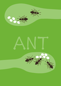 The ants I raised(fresh green)