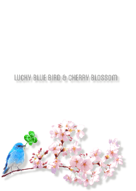 Lucky blue bird and cherry blossom