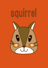 Squirrel background screen