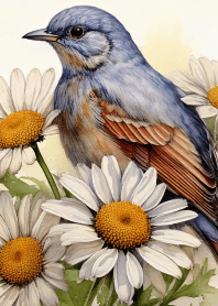 Margaret and the Blue Bird Vol.1