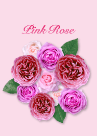 "Pink Rose 3" theme