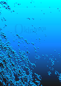 ●沖縄の美しい海＿海中編