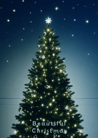 Beautiful Christmas-BLUE NIGHT- 10