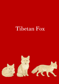 Tibetan Fox on red & beige