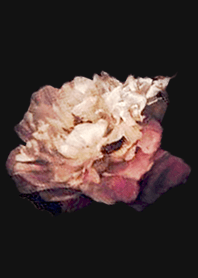 The flowers.D