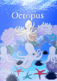 Octopus..