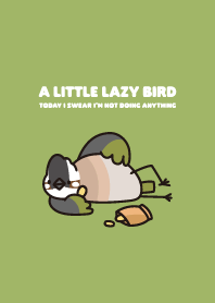 Lazy bird -Chinese Bulbul