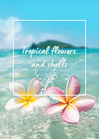 Floating Flowers (PR) -  05 Beige