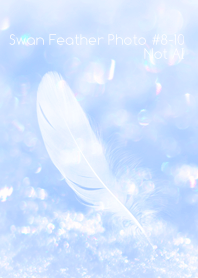 Swan Feather Photo #8-10Not AI