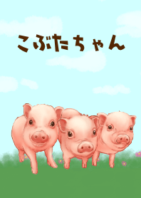 Cute Pigs