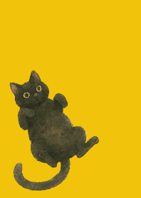 Relaxing black cat on yellow