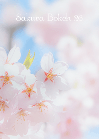 SakuraBokeh 26
