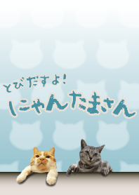 Pop-up cats! Nyantama-san