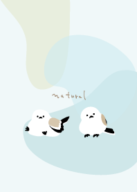 Long-tailed tit sitting5