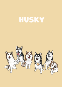 husky1 / yellow