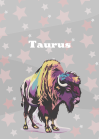 Taurus constellation on white