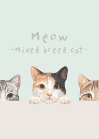 Meow - Mixed breed cat 01 - PASTEL GREEN