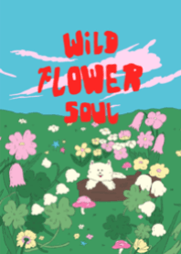 Wildflowers soul
