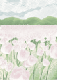 The tulips garden & cute bunny (White)