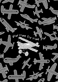 Gray plane fly plane gray (B)