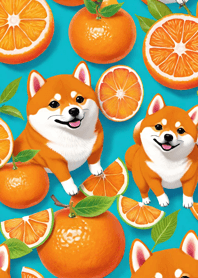 Smiling dog Shiba Inu lJEml