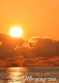 Morning of light