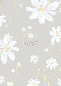 Cosmos-Art -white/gray-