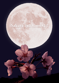 Sakura Full Moon #2-7