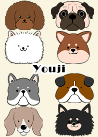 Youji Scandinavian dog style