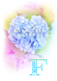 Happiness Hydrangea_F