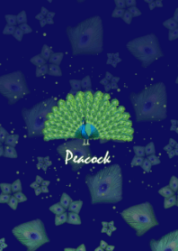 Peacock -Elegant blue-