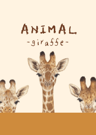 ANIMAL - Giraffe - AUTUMN COLORS