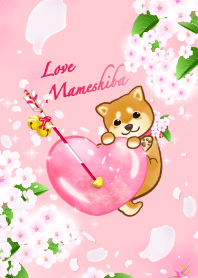 Valentine love mameshiba dog 5 !
