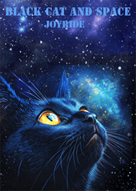Black cat and space2