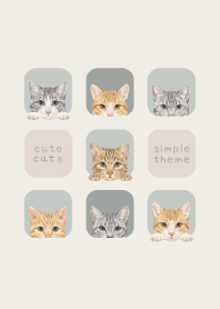 CATS - Mixed breed cat 03 - SKY GRAY