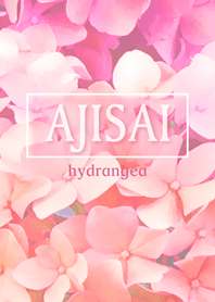 紫陽花～ピンク