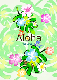 Hawaii*ALOHA+224