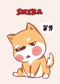 มล ใครไม่บะ ชิบะ 4 V15