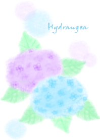 Hydrangea watercolor